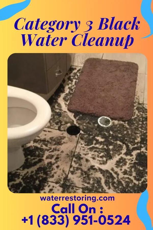 Category 3 Black Water Cleanup in Mound, MN