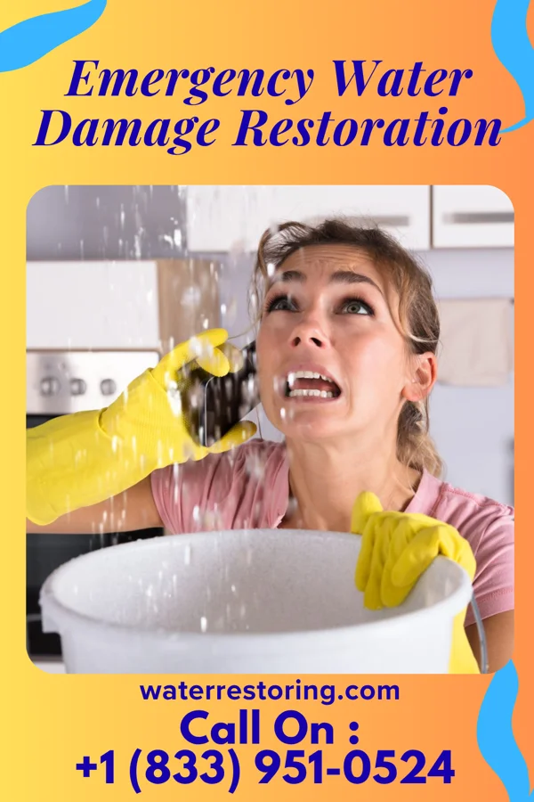 Emergency Water Damage Restoration in Mound, MN